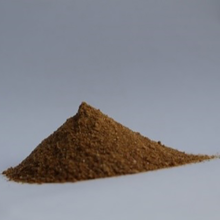 Phellinus Igniarius - 4-5 Phellinus Igniarius - 4-5