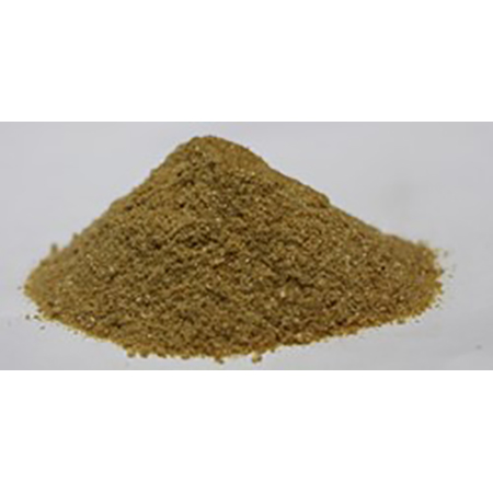 Grifola Frondosa Özü - 4-8 Grifola Frondosa Özü - 4-8