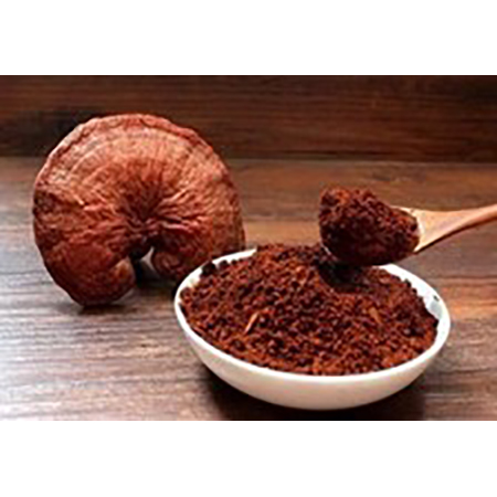 Kırık Ganoderma Lucidum Spor Tozu - 4-11